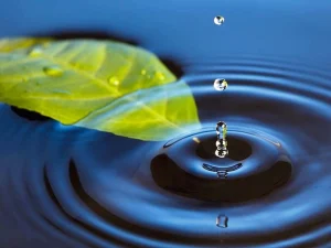 Water conservation techniques
